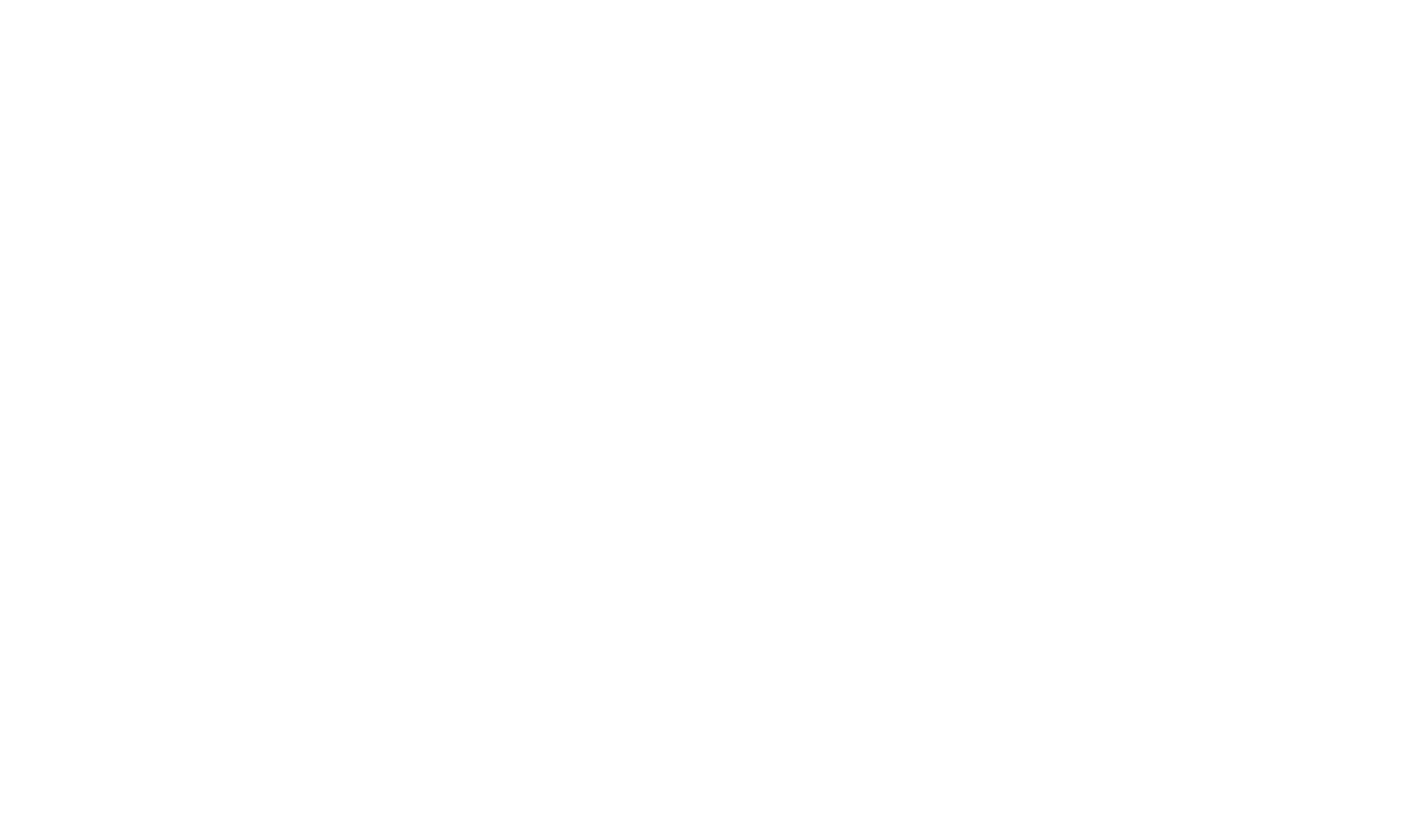 Piatt Hotel Group Logo White